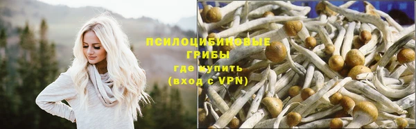 шишки Лагань