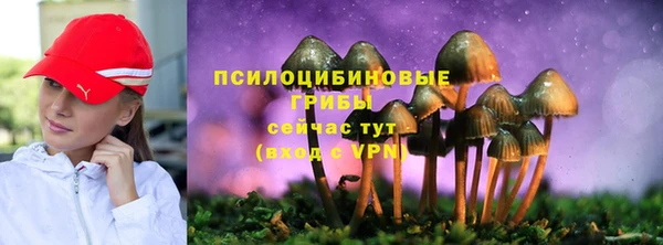марки lsd Лабытнанги