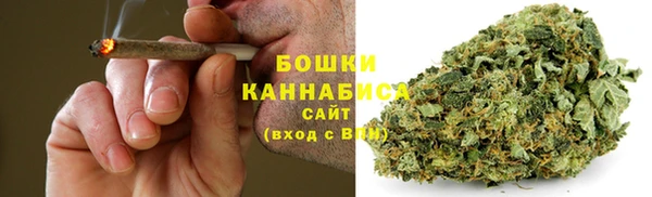 шишки Лагань