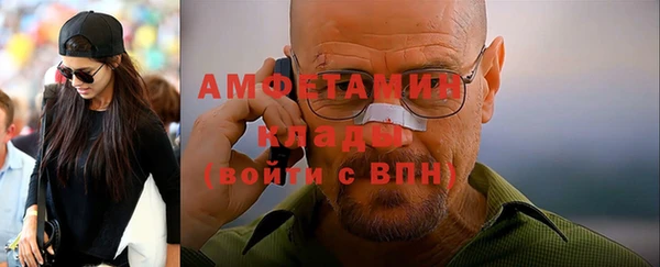 шишки Лагань