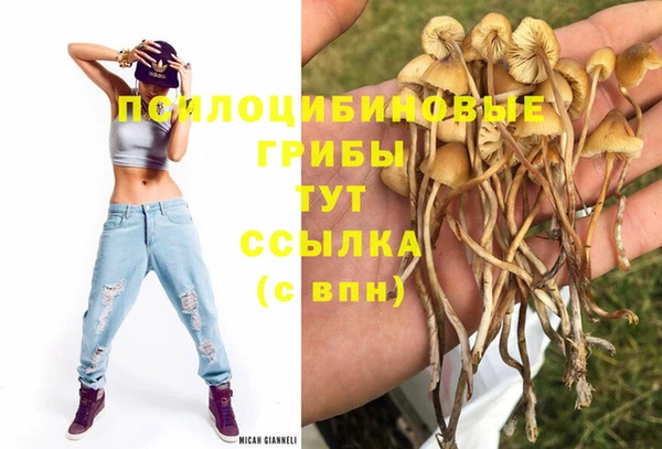 шишки Лагань