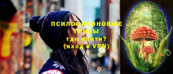 мяу мяу мука Новозыбков