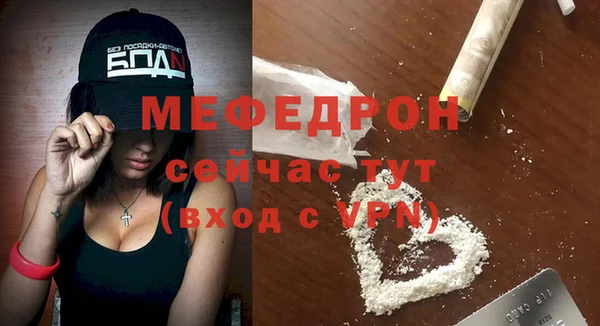 шишки Лагань