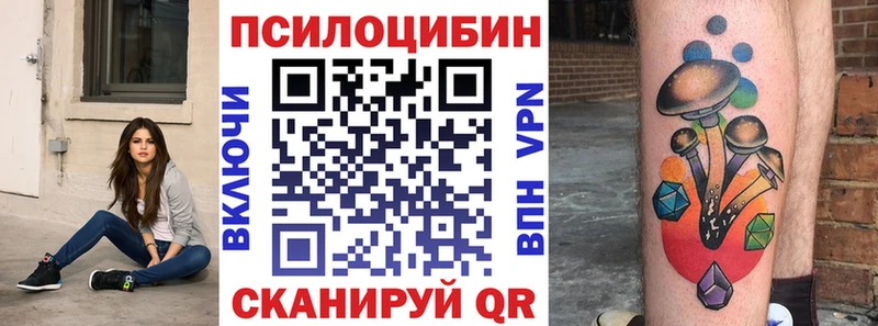 что такое Первоуральск Псилоцибиновые грибы Psilocybine cubensis