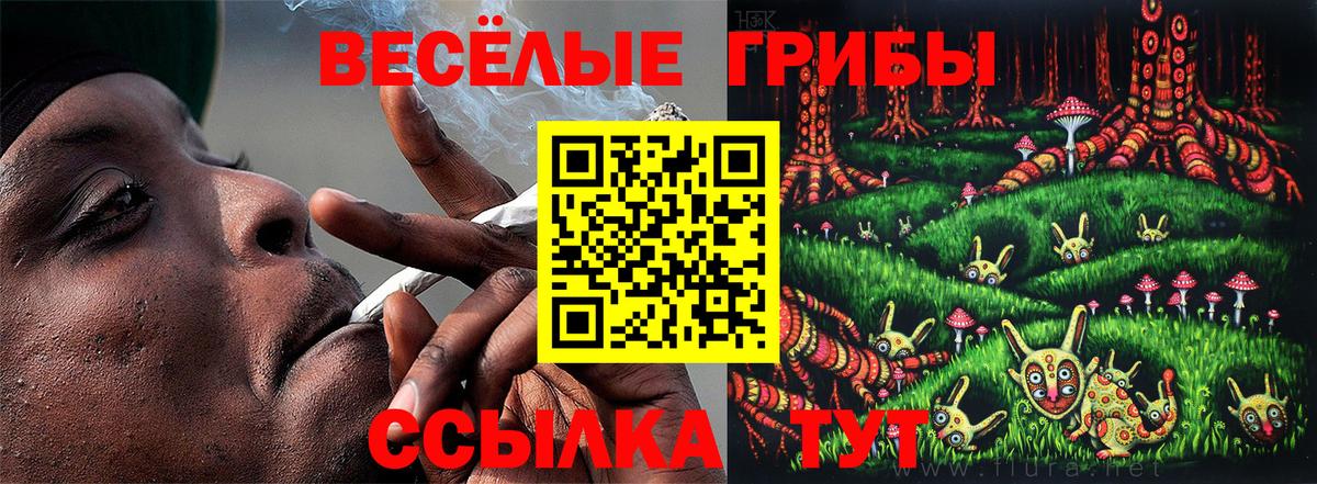 Галлюциногенные грибы Psilocybe Первоуральск